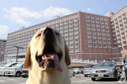 f0191413_1013676.jpg