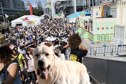 f0191413_10155944.jpg