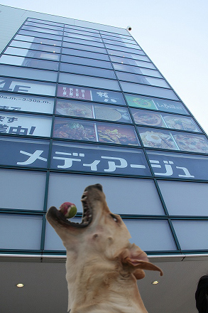 f0191413_10285222.jpg