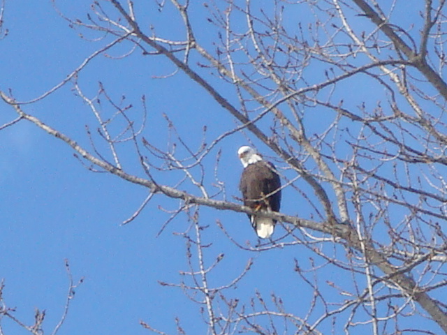 e0147716_9271889.jpg