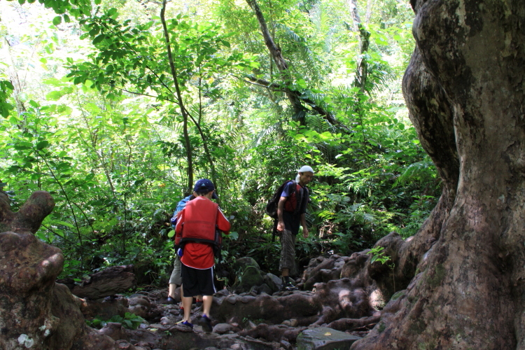 沖縄八重山旅行～２日目①～_a0117719_2135101.jpg