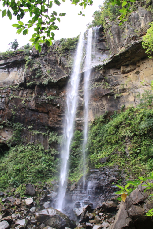 沖縄八重山旅行～２日目①～_a0117719_21442735.jpg