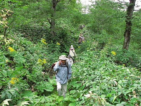 お手伝い　その３（2009年8月27日）_b0082121_1113672.jpg