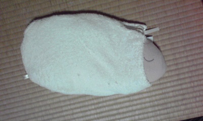 c0160822_1252212.jpg