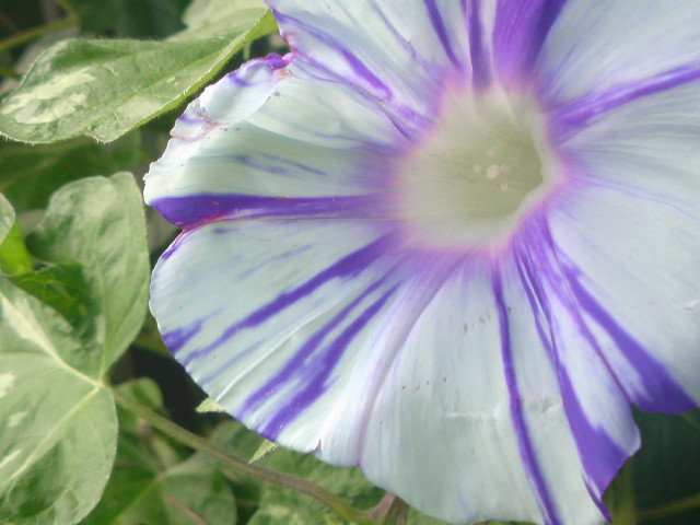 e0016828_23382542.jpg