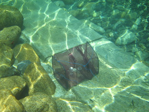 c0113733_22391049.jpg
