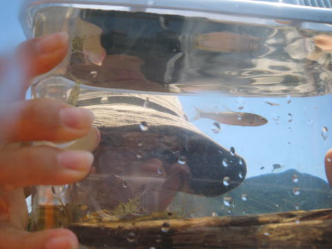 c0113733_22405253.jpg