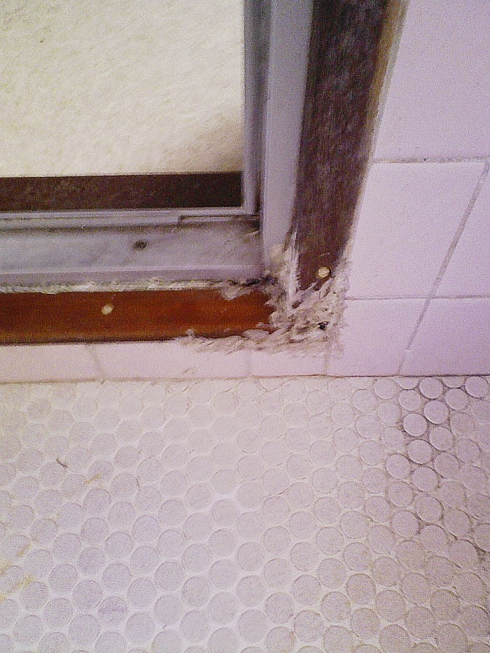 e0196845_1114198.jpg