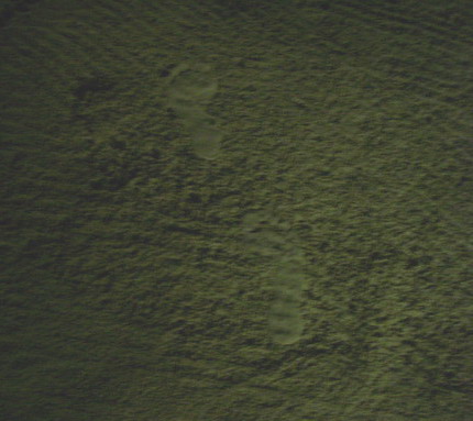 e0069647_21501742.jpg