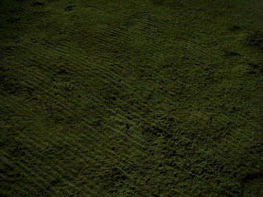 e0069647_2150959.jpg