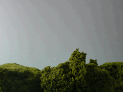 e0005548_2323353.gif