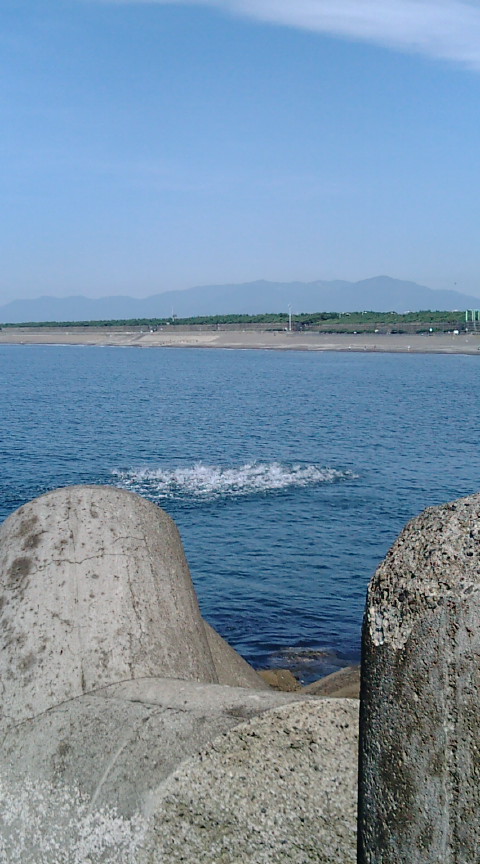 f0150151_22105723.jpg