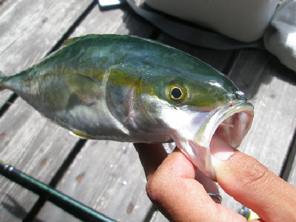 f0150151_22112896.jpg