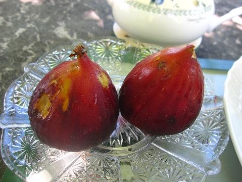 a0075455_2311757.jpg