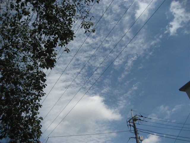 a0123465_22564576.jpg