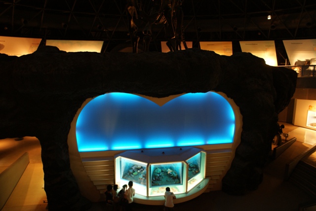a0091666_2049548.jpg
