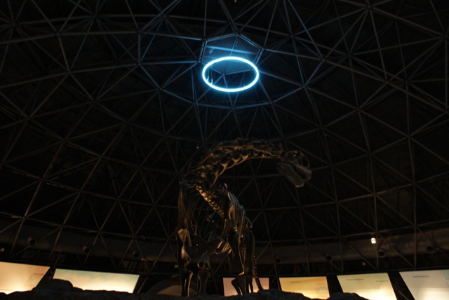 a0091666_20504138.jpg