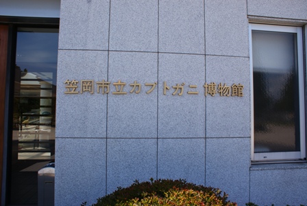 a0091666_2054728.jpg