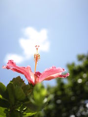 b0138768_13097.jpg
