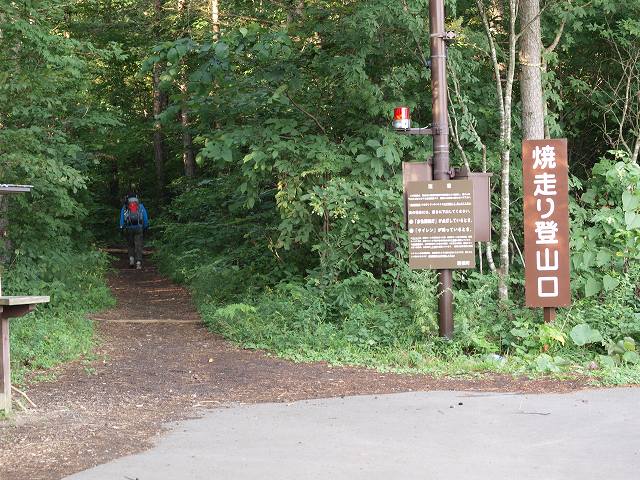 東北の山旅と花　岩手山―１_d0025568_16465733.jpg