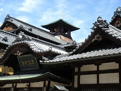 愛媛最終日。_a0087471_094695.jpg