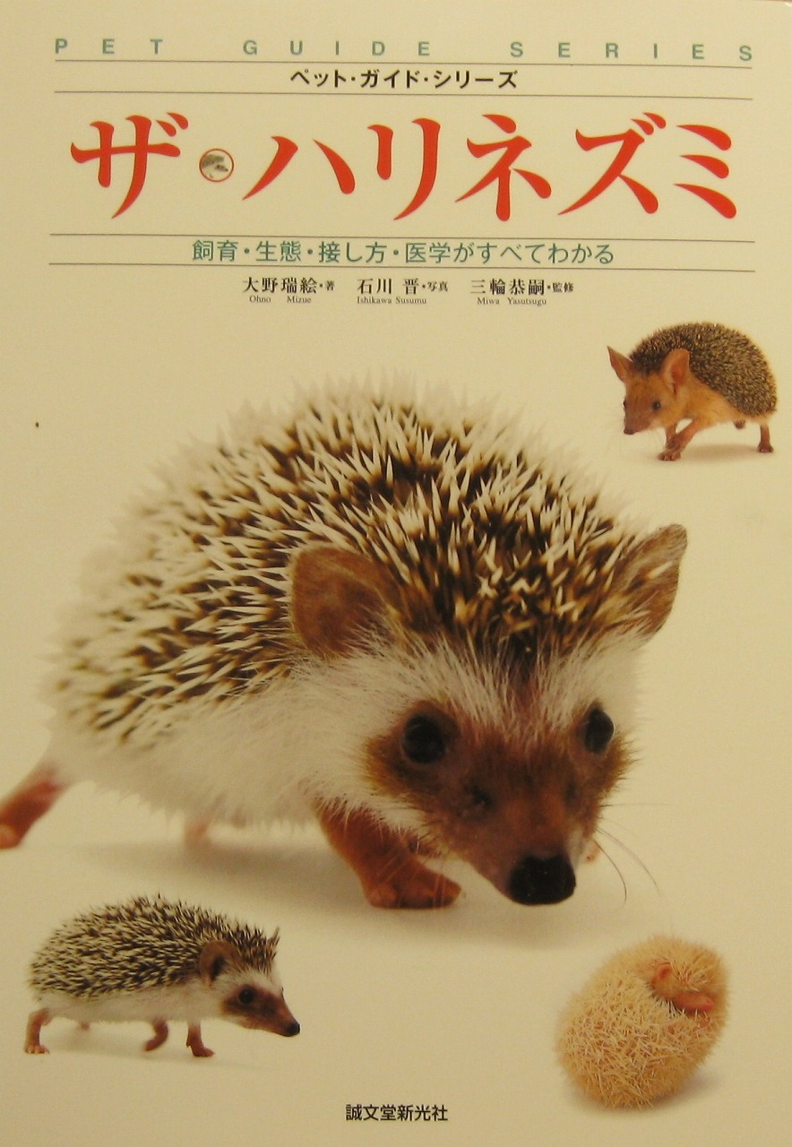 ハリネズミ飼いの人に朗報 Mozoワンダーシティ店ペポニブログ ハリネズミ飼いの人に朗報 Mozoワンダーシティ店ペポニブログ