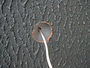 b0140276_19262650.jpg