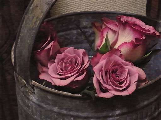 f0089079_24871.jpg