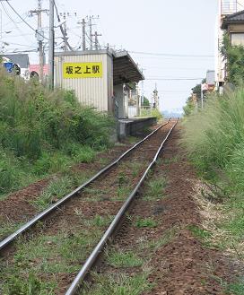 e0130185_1329487.jpg