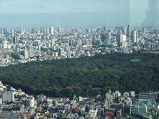 東京都庁展望室から３６０度の眺め　　８／２７_b0097689_1632024.jpg