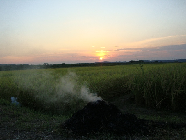 印旛沼_a0126590_22221310.jpg