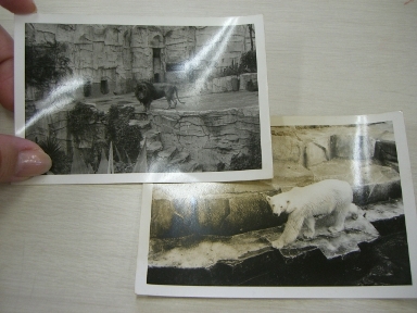 時代はいつ?_a0045293_924183.jpg