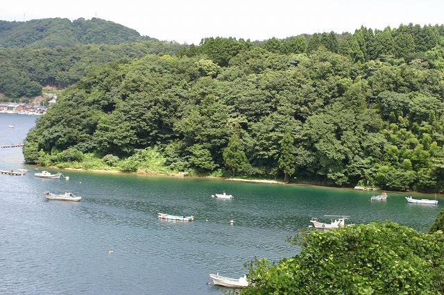 e0061694_8574337.jpg