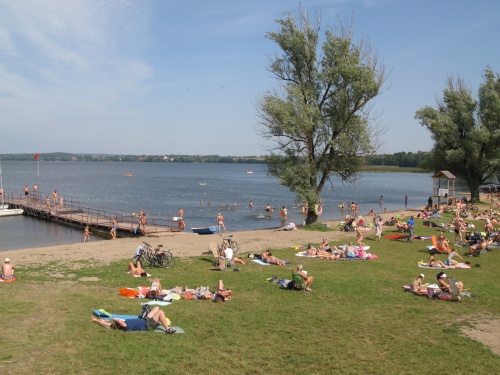f0129897_1551386.jpg