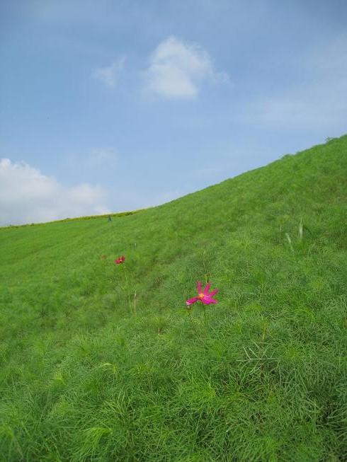 b0172502_956469.jpg