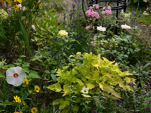 a0123003_2047185.jpg