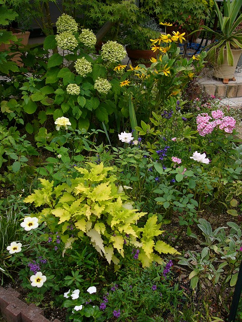 a0123003_21484635.jpg