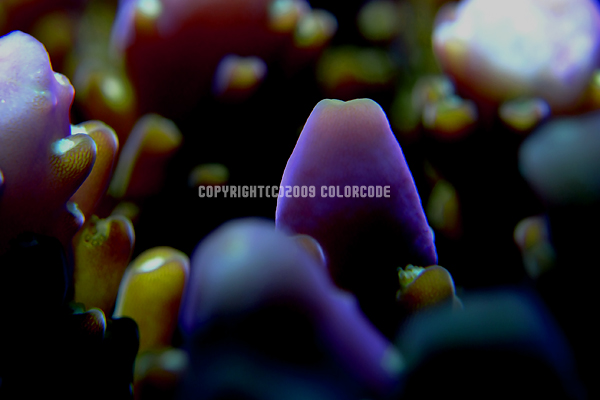 ふうぅぅ Blog 海の色は空の色