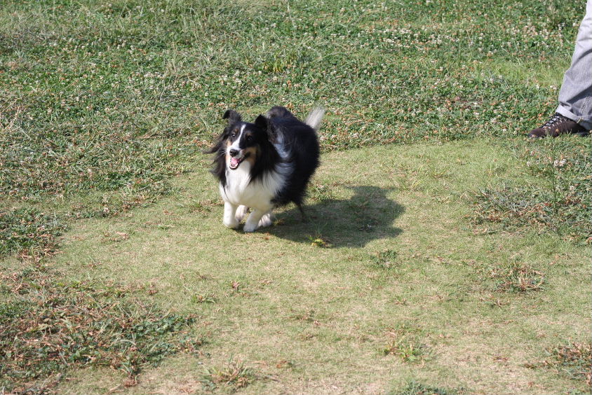 e0130008_2272984.jpg