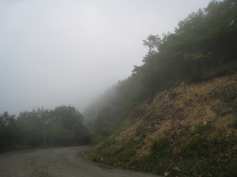 f0141609_22385235.jpg