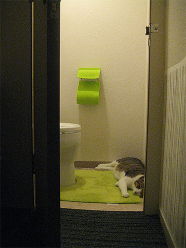 c0114110_03551.jpg