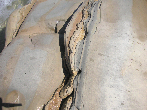 e0115312_1974677.jpg