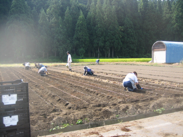 最終植え込み_f0067514_6431054.jpg