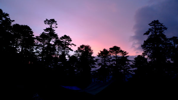 f0115214_1235592.jpg