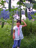 ヘチマの試食_c0060919_20214435.jpg