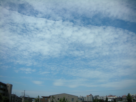 e0171120_1121141.jpg