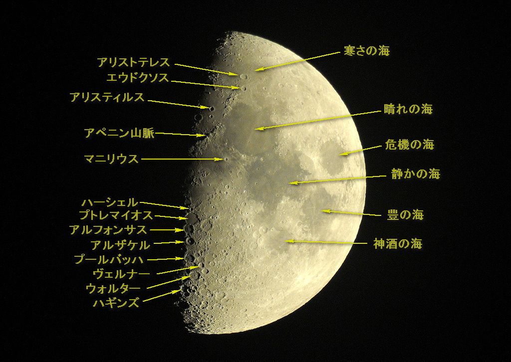 月齢８．０・・・上弦の月は欠け際の光りと影が見事だ_a0031821_1416141.jpg