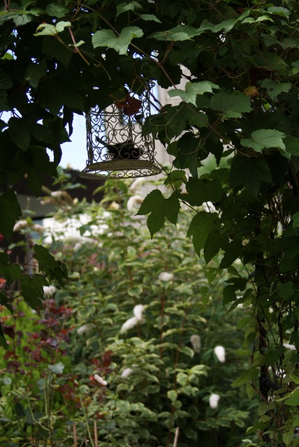 f0170524_15131472.jpg