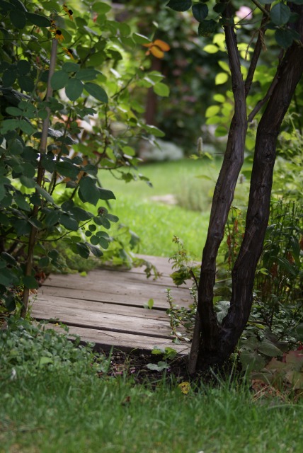 f0170524_1552862.jpg