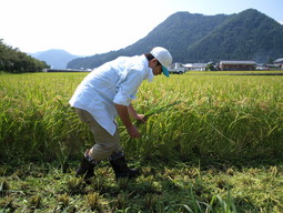 埼玉県からワークステイに参加いただきました_e0061225_11451953.jpg